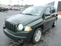 2010 Natural Green Pearl Jeep Compass Sport 4x4  photo #7