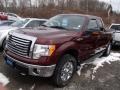 Royal Red Metallic - F150 XLT SuperCab 4x4 Photo No. 3