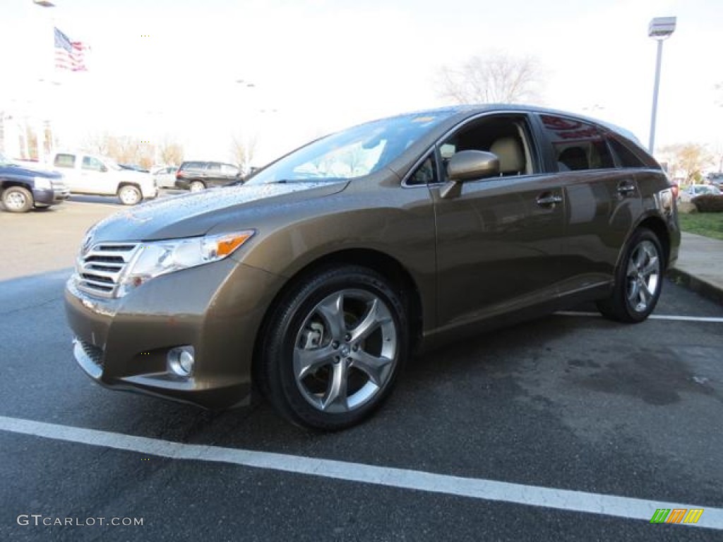 Golden Umber Mica 2010 Toyota Venza V6 Exterior Photo #78900165