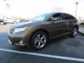 Golden Umber Mica 2010 Toyota Venza V6 Exterior