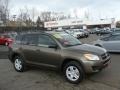 Pyrite Mica - RAV4 I4 4WD Photo No. 1