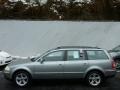 Stonehenge Grey Metallic - Passat GLX 4Motion Wagon Photo No. 2