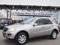 Pewter Metallic - ML 350 4Matic Photo No. 1