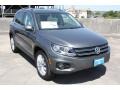 Pepper Gray Metallic - Tiguan SE Photo No. 1