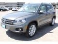 Pepper Gray Metallic - Tiguan SE Photo No. 3