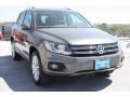 Pepper Gray Metallic - Tiguan SE Photo No. 1