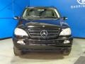 Black - ML 350 4Matic Photo No. 2