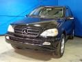 Black - ML 350 4Matic Photo No. 3