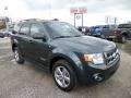 Black Pearl Slate Metallic - Escape XLT V6 4WD Photo No. 1