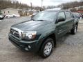 2010 Timberland Mica Toyota Tacoma V6 SR5 TRD Double Cab 4x4  photo #3