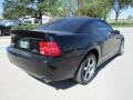 2003 Black Ford Mustang Cobra Coupe  photo #10