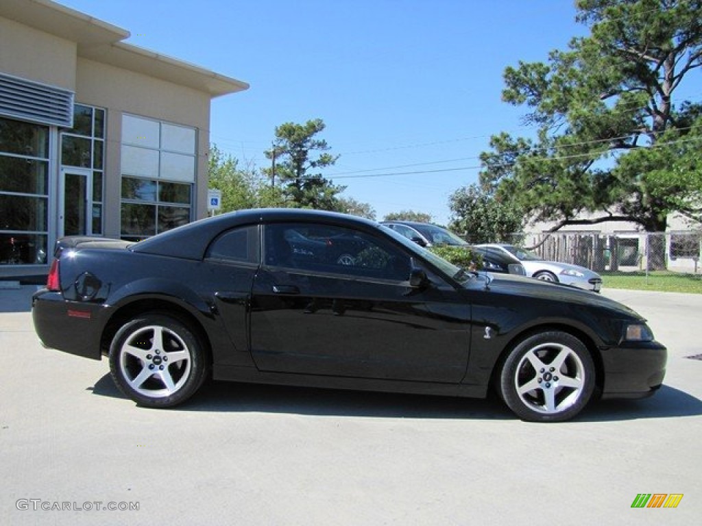 2003 Mustang Cobra Coupe - Black / Dark Charcoal/Medium Parchment photo #11