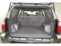 Driftwood Pearl - 4Runner Limited Photo No. 35