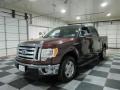 Royal Red Metallic - F150 XLT SuperCrew Photo No. 3