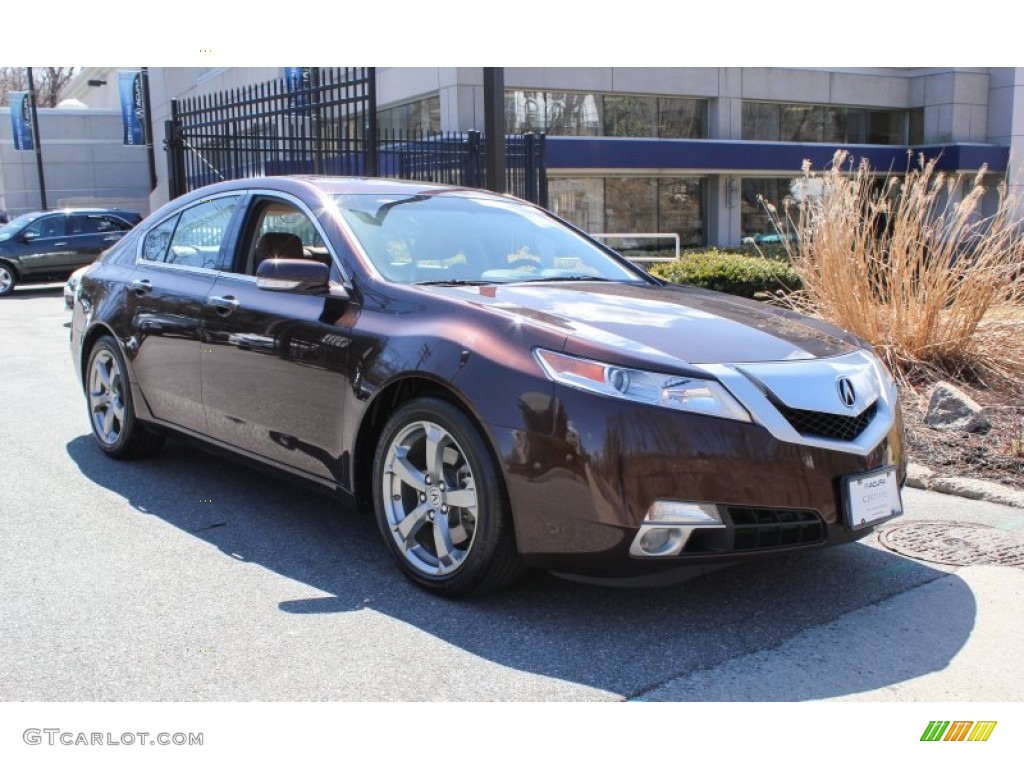 Mayan Bronze Metallic Acura TL