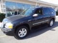 Onyx Black - Envoy SLT 4x4 Photo No. 2