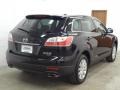 2010 Brilliant Black Mazda CX-9 Touring AWD  photo #6