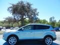 2013 Frosted Glass Metallic Ford Escape Titanium 2.0L EcoBoost  photo #2