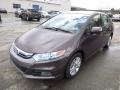 Truffle Pearl 2013 Honda Insight Gallery