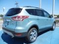 2013 Frosted Glass Metallic Ford Escape SEL 2.0L EcoBoost  photo #3