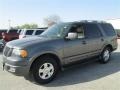 2005 Dark Shadow Grey Metallic Ford Expedition Limited  photo #5