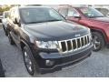 Black Forest Green Pearl - Grand Cherokee Limited Photo No. 4