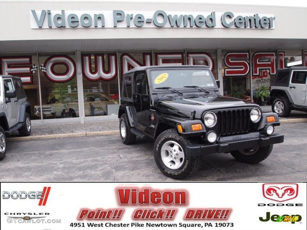 2002 Wrangler Sahara 4x4 - Black / Camel Beige/Dark Green photo #1