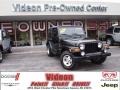 Black 2002 Jeep Wrangler Sahara 4x4