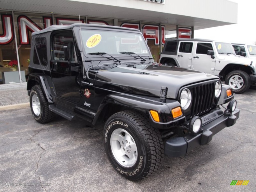 2002 Wrangler Sahara 4x4 - Black / Camel Beige/Dark Green photo #4
