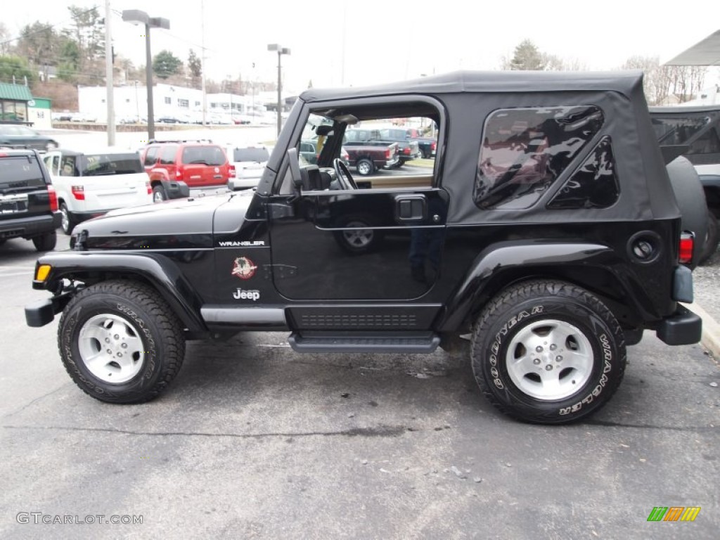 2002 Wrangler Sahara 4x4 - Black / Camel Beige/Dark Green photo #9