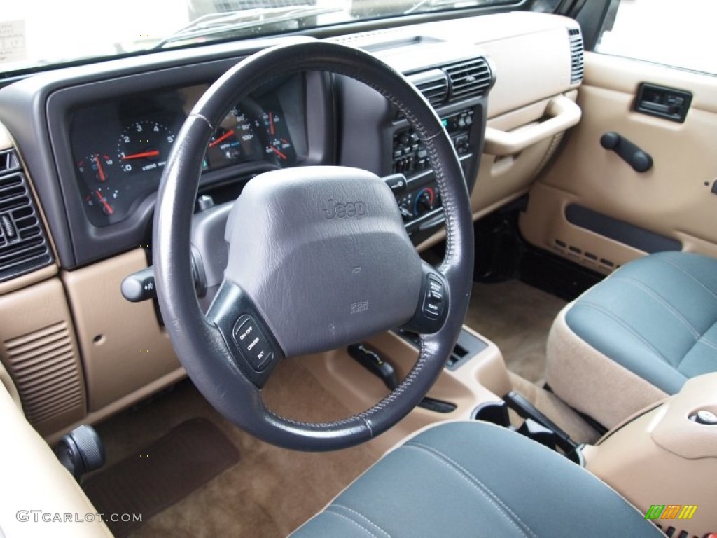 2002 Wrangler Sahara 4x4 - Black / Camel Beige/Dark Green photo #10