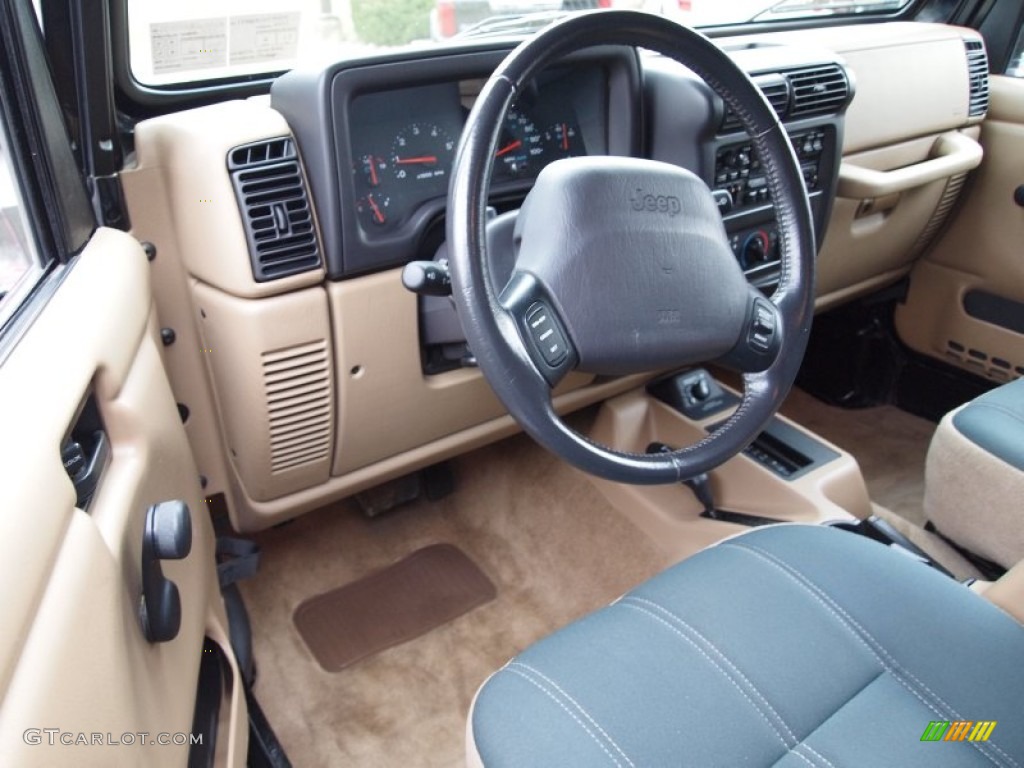 2002 Wrangler Sahara 4x4 - Black / Camel Beige/Dark Green photo #11