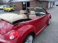 Salsa Red - New Beetle SE Convertible Photo No. 6