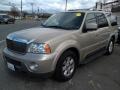 Light French Silk Metallic 2004 Lincoln Navigator Ultimate 4x4