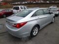 Radiant Silver - Sonata GLS Photo No. 7