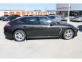 Carbon Grey Metallic - Panamera Platinum Edition Photo No. 10