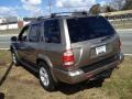 Polished Pewter Metallic - Pathfinder LE 4x4 Photo No. 5