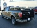 Black - F150 Lariat SuperCrew 4x4 Photo No. 3