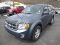 2010 Steel Blue Metallic Ford Escape XLT 4WD  photo #5