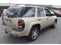 2007 Sandstone Metallic Chevrolet TrailBlazer LS 4x4  photo #6