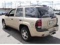 2007 Sandstone Metallic Chevrolet TrailBlazer LS 4x4  photo #10