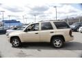 2007 Sandstone Metallic Chevrolet TrailBlazer LS 4x4  photo #11