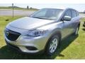 Liquid Silver Metallic - CX-9 Sport Photo No. 1