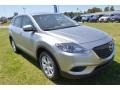 Liquid Silver Metallic - CX-9 Sport Photo No. 5