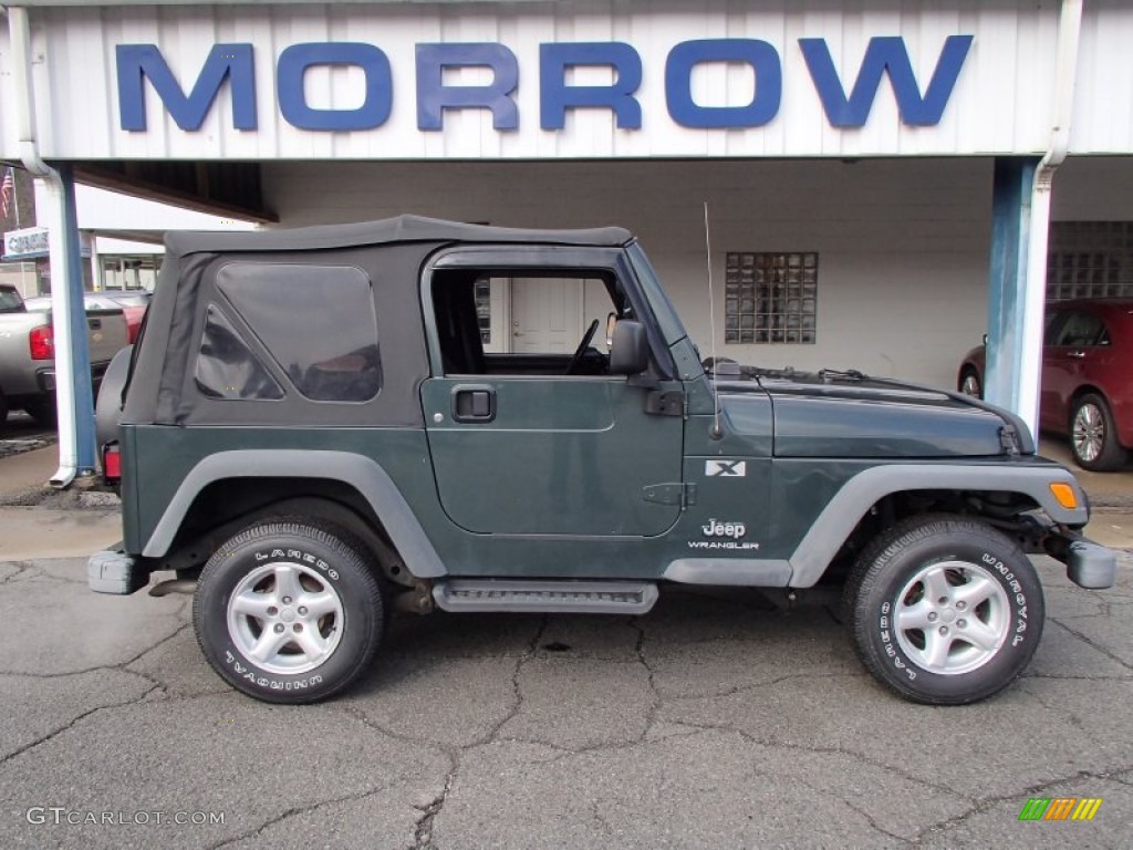 2004 Wrangler X 4x4 - Shale Green Metallic / Dark Slate Gray photo #1