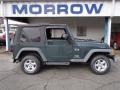 Shale Green Metallic 2004 Jeep Wrangler X 4x4