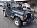 Shale Green Metallic - Wrangler X 4x4 Photo No. 2