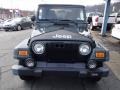 Shale Green Metallic - Wrangler X 4x4 Photo No. 3