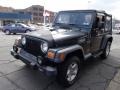 Shale Green Metallic - Wrangler X 4x4 Photo No. 4