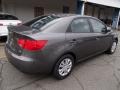 2013 Gunmetal Grey Kia Forte EX  photo #8